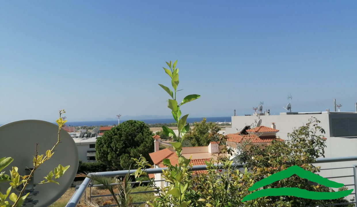 VIEW 3